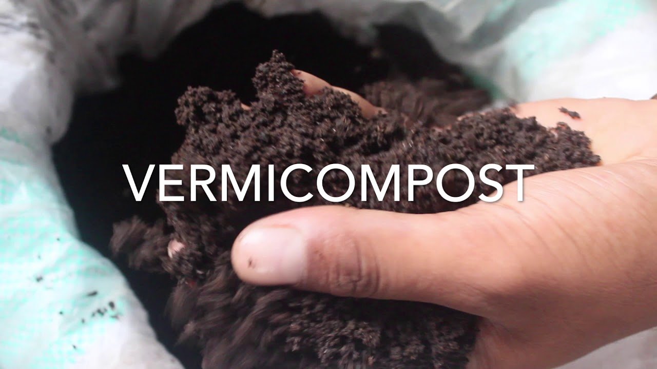 herbal vermicompost